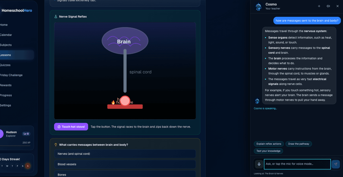 talking to the AI teacher, cosmo and getting an answer